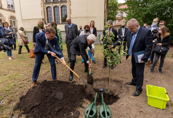 Reise Kretschmann besucht Sachsen v.l.n.r.: Michael Kretschmer, Ministerpräsident von Sachsen, Ministerpräsident Winfried Kretschmann und Andreas Kämpe, Schullleiter des Schiller-Gymnasiums in Bautzen, pflanzen einen Baum ein. (Bild: Staatsministerium Baden-Württemberg)