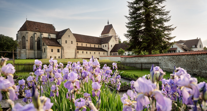 Klosterinsel Reichenau