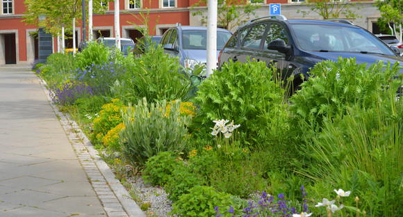 Grünstreifen neben Parkplätzen