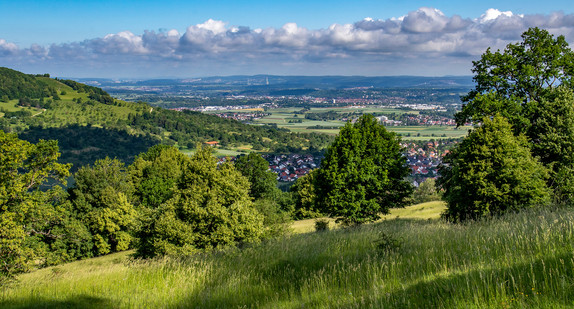 Beschreibung vom Bild: Man sieht das Naturschutz-Gebiet Eichhalde. Das ist in der Schwäbischen Alb. Man sieht auch das Alb-Vorland.