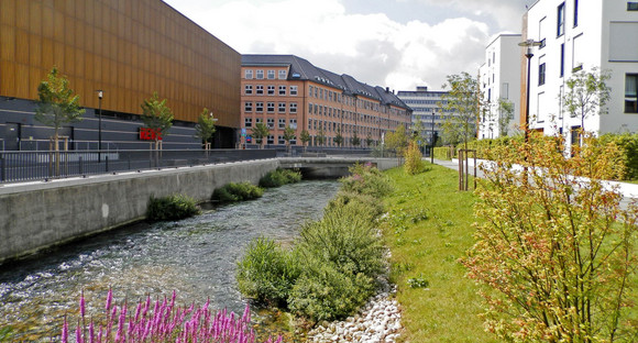 Renaturiertes Brenz-Ufer im Ploucquet-Areal
